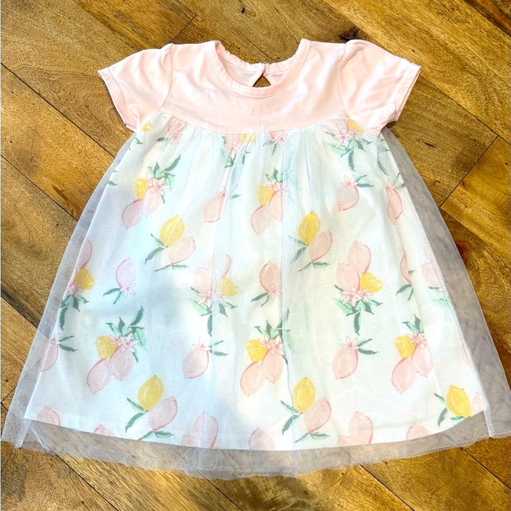 Floral Pink and White Cotton and Tulle Overlay Dress 24 Months